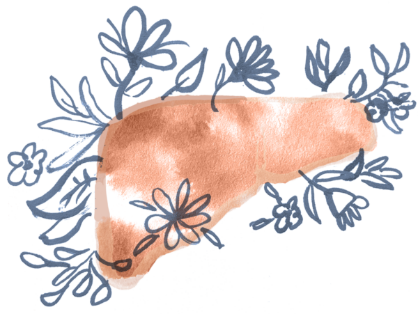 HealtyLiver_INTRO_HOOVER